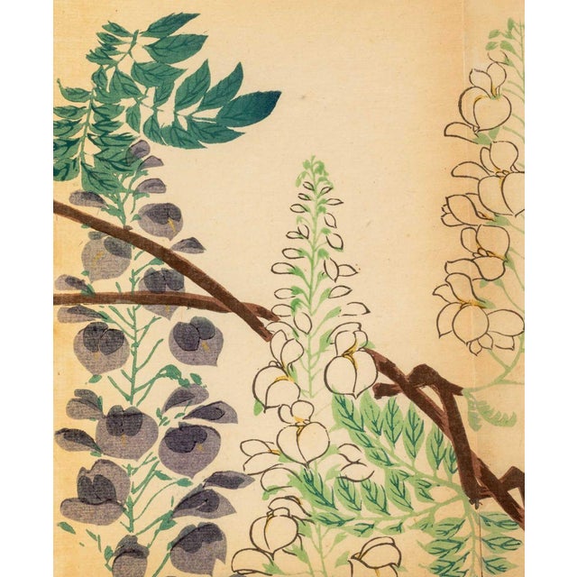 Japanese School Botanical Woodblock Prints, 3 For Sale - Image 13 of 17
