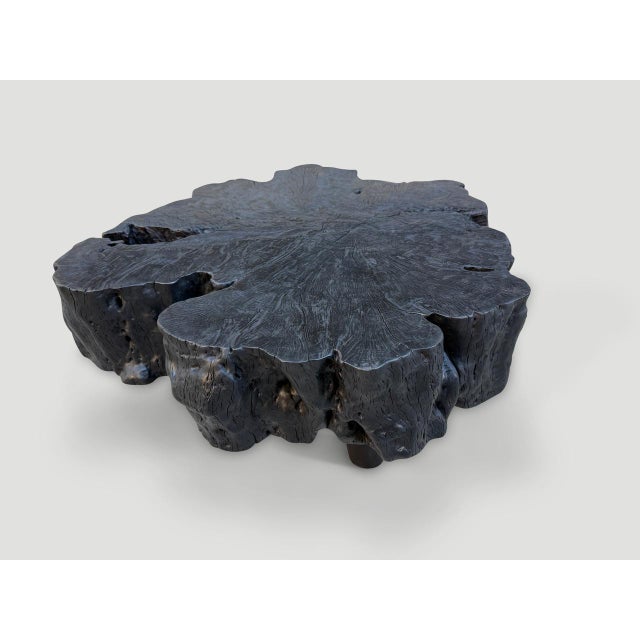 Andrianna Shamaris Charred Amorphous Coffee Table For Sale - Image 4 of 18