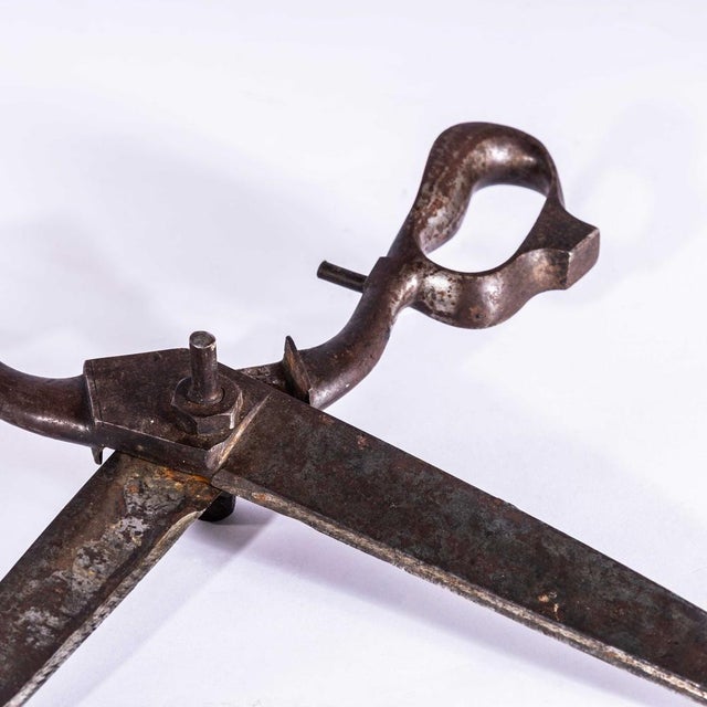 Large French Tailor's Scissors, 1920s For Sale - Image 4 of 6