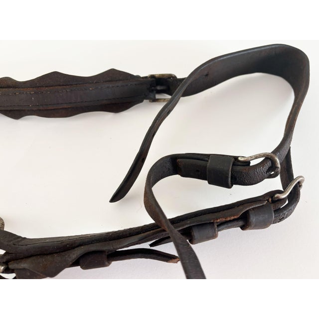Antique Horse Bridle and Bit, 1900s For Sale In Minneapolis - Image 6 of 9
