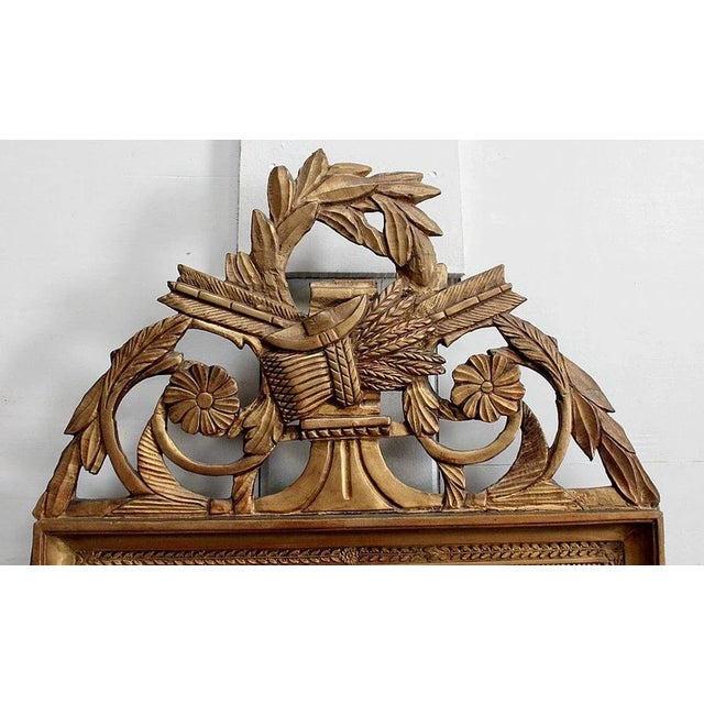 Golden Wood Louis XVI Style Mirror, 19th Century For Sale - Image 5 of 18