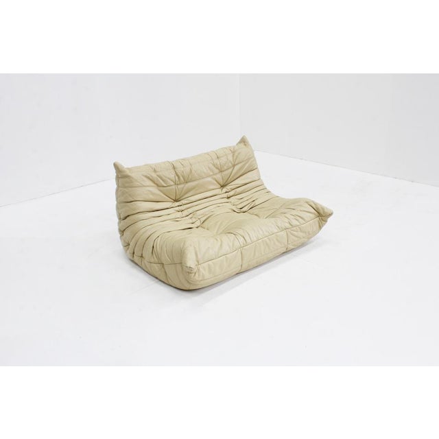 Animal Skin Vintage Togo 2-Seater Sofa in Leather by Michel Ducaroy for Ligne Roset, 1990s For Sale - Image 7 of 9