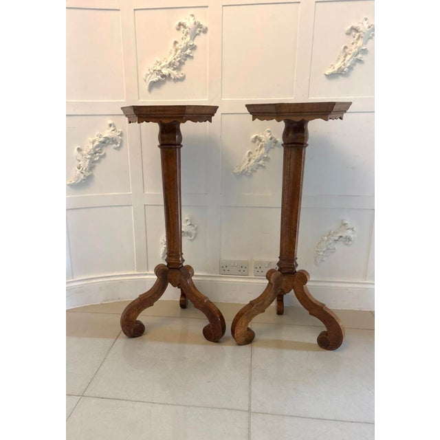 Antique Dutch Walnut and Kingwood Pedestal Torcheres, 1800, Set of 2 For Sale - Image 4 of 17
