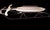 Wood 1950s Vintage Gladding Speedway ~40" Ash Wood & Steel Snow Sled - Pristine Logo For Sale - Image 7 of 8
