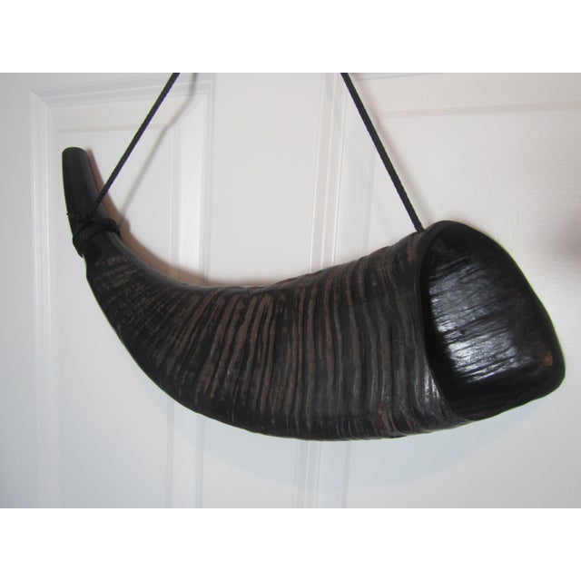 Carabao Horn Wall Art Chairish