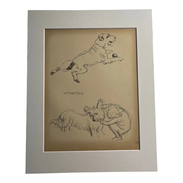 1930 Dog Drawing Matted Print For Sale