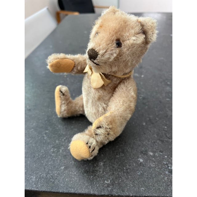 Small Steiff Bear Antique For Sale - Image 11 of 11