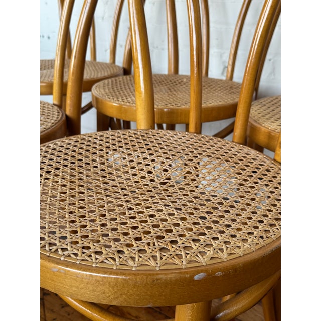 1960s Set of 5 Thonet-Style Bentwood Sweetheart Chairs - Made in Romania For Sale - Image 6 of 7