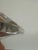 Transparent 1970s Signed Baccarat France Clear Crystal Bretagne Pattern Decanter With Stopper For Sale - Image 8 of 17