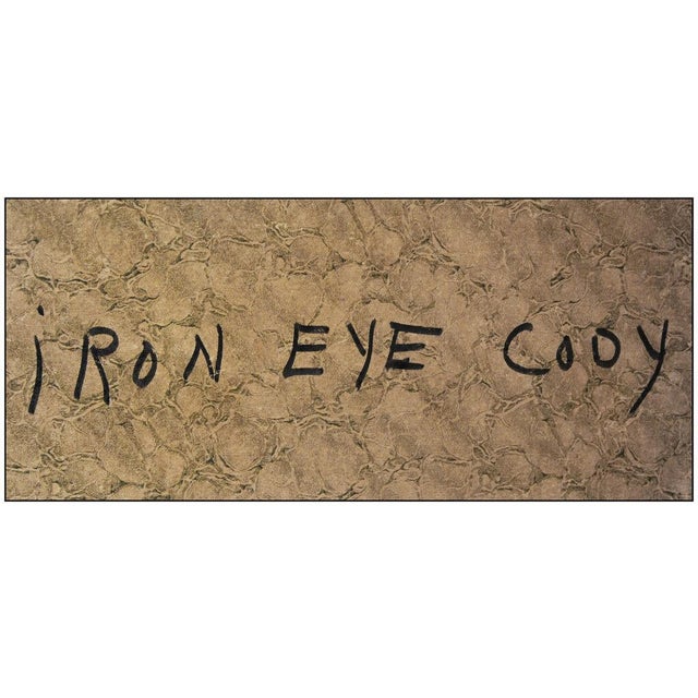 Early 20th Century Iron Eye Cody, Clarence Ellsworth For Sale In Minneapolis - Image 6 of 6