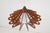1970s Mid-Century Wooden Pendant, Former Czechoslovakia, 1970s For Sale - Image 5 of 16