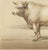 19th Century Borie, Charolais Bull, French Cattle Breed, 1863, Chromolithograph For Sale - Image 5 of 9