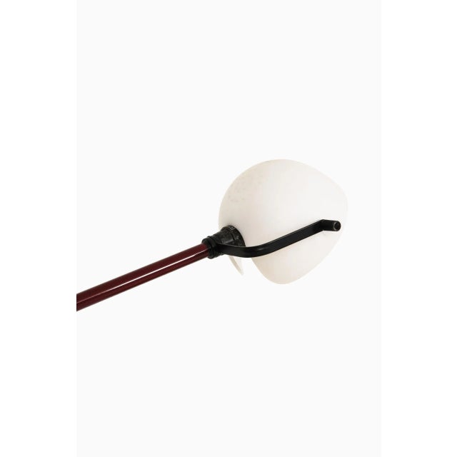 1970s Model 613 Desk Lamp by Paolo Rizzatto & Gino Sarfatti for Artiluce, 1975 For Sale - Image 5 of 11