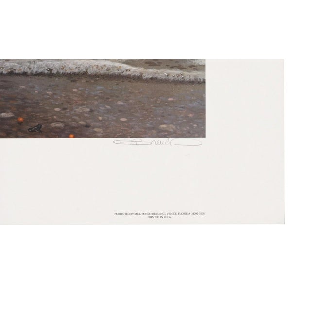 1990s Carl Brenders "Shoreline Quartet - White Ibis" Signed Limited Edition Print, 1990 For Sale - Image 5 of 11