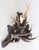 Black Forest 19th Century Black Forest Antlers Trophy Mount Mantel Wall Plaque For Sale - Image 4 of 11
