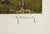 Roger Hebbelinck "Retour Du Troupeau" Hand Signed Vintage Aquatint Etching 1950 For Sale - Image 9 of 9