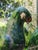 1960s Large Vintage Parrot Finials, Pair For Sale - Image 4 of 6