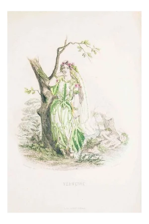 Verveine - Les Fleurs Animées Vol.II - Litho by J.J. Grandville - 1847 1847