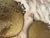 Bronze Antique Pair of Oval Porcelain Plaques Depicting Napoleon in Battle For Sale - Image 8 of 12