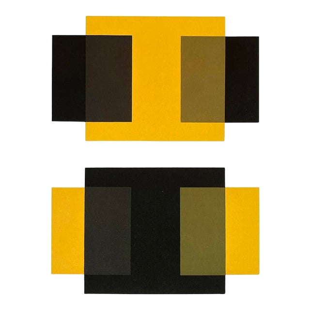2009 Josef Albers the Interaction of Color Plate Xi-1 For Sale