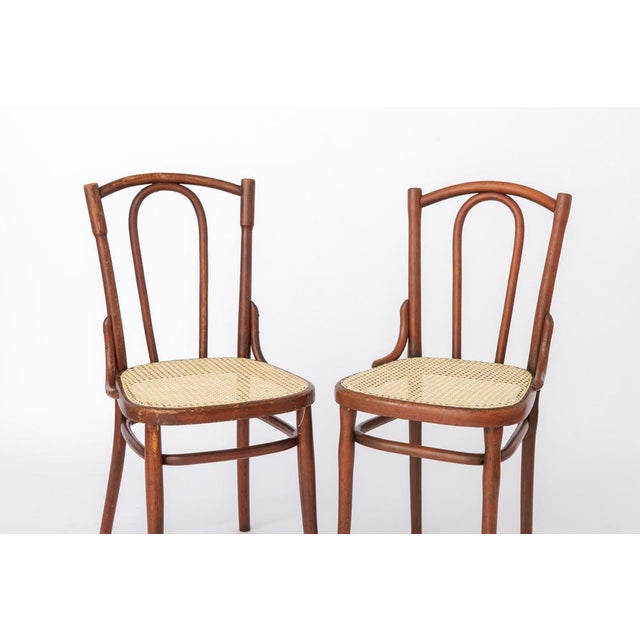 Antique Austrian Bentwood Chair in Rattan in the Style of Thonet No. 56, 1930s For Sale - Image 9 of 14