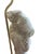 Mid 20th Century Vintage Holland Mold Neoclassical Italian Style Figural Maiden Table Lamps With Grapes & Amphora, a Pair For Sale - Image 5 of 12