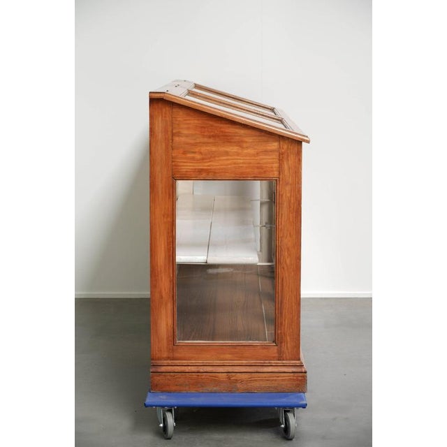 Vintage Museum Cabinet with Doors and Removable Shelves For Sale - Image 4 of 16