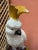 This vintage cockatoo majolica statue is very similar to the Minton cockatoo from 1870. He make a true tropical statement...