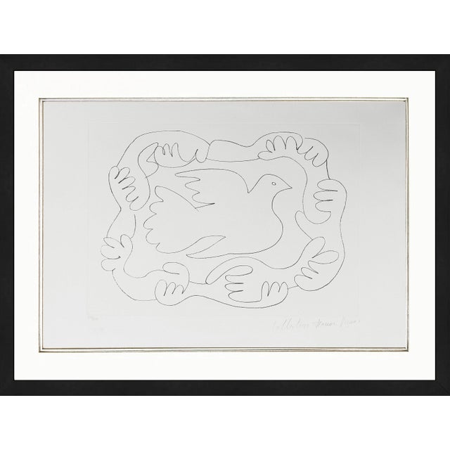 1980s Pablo Picasso, Etudes Des Mains Et Colombe (Marina Picasso Estate Hand Signed Lithograph) Reproduction For Sale