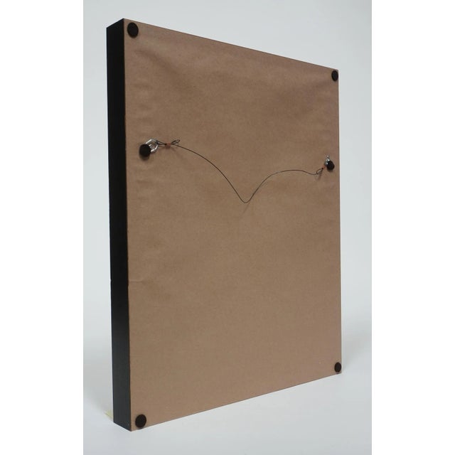 "Botanica V" - Gum Dichromate Print by S. Howard For Sale - Image 4 of 5