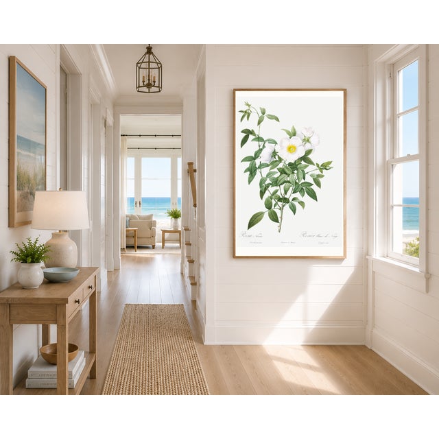 French Country Cherokee Rose, Vintage Botanical Art Print Reproduction by Pierre-Joseph Redouté, 24" X 36" For Sale - Image 3 of 11