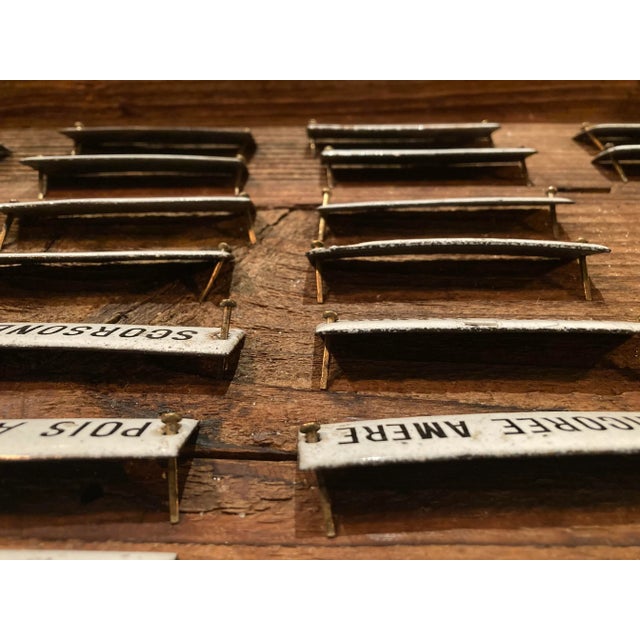 Set of 32 Early 20th Century French Enamel Herb/Vegetable Labels For Sale - Image 4 of 8