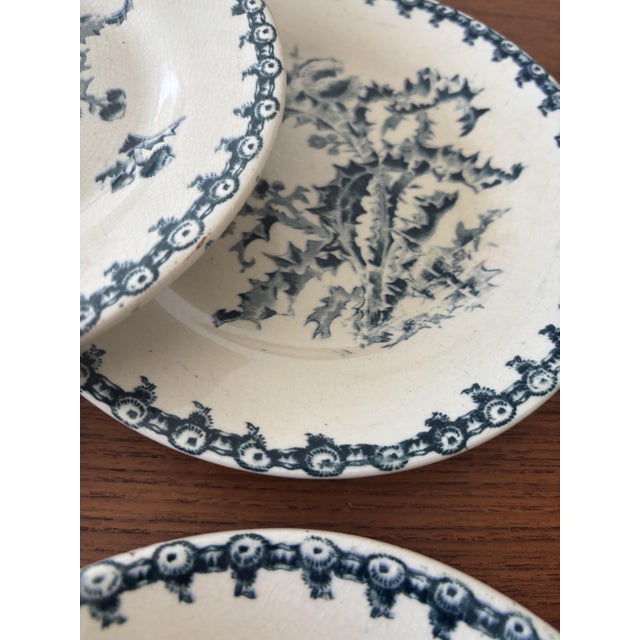 1940s Vintage Dessert Plates with Chardon Pattern from Gien, 1940s, Set of 6 For Sale - Image 5 of 10