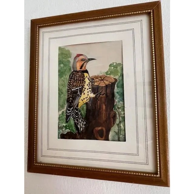 Mid 20th Century Original Bird Watercolors, Vintage, A Pair For Sale - Image 4 of 11