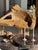 Coffee Table in Brown Petrified Wood with Double Circular Top on Cubic Base, Indonesia, 1980s For Sale - Image 6 of 16