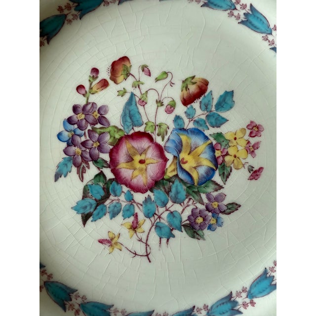 Ceramic Set of 9 Wedgwood Dinner Plates in the Morning Glory Pattern For Sale - Image 7 of 13