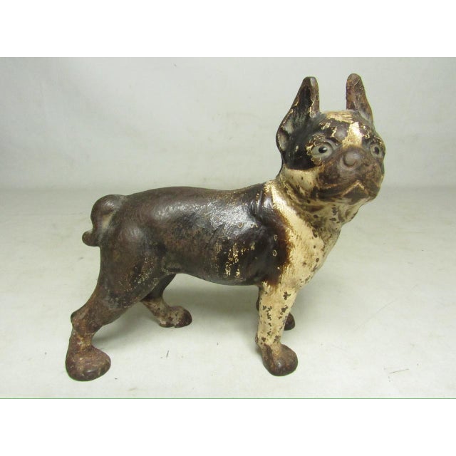 Hubley Manufacturing Company Cast Iron Hubley Boston Terrier Doorstop For Sale - Image 4 of 17