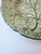 Mid 19th Century Antique 19th Century Continental White Cabbage Ware Plate | Green Veining For Sale - Image 5 of 5