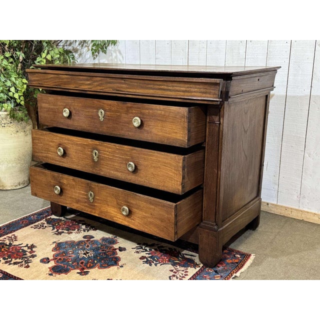 19th Century Restoration Chest of Drawers in Chestnut For Sale - Image 3 of 16