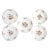 Antique Botanical Porcelain Dessert Plates - Set of 5 For Sale