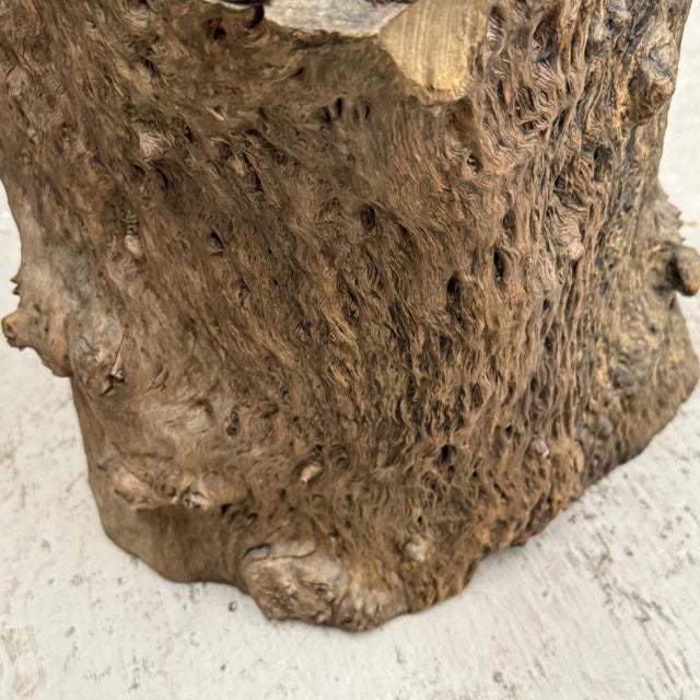 Brown Skinny Textured Free-Form Tree Trunk Side Pedestal Table For Sale - Image 8 of 9