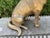 Art Deco 1960s Hollywood Regency Brass German Shepherd For Sale - Image 3 of 13