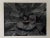 Late 20th Century Michael Johnson Botanicals Photography Portfolio 1979 - Set of 8 For Sale - Image 4 of 12