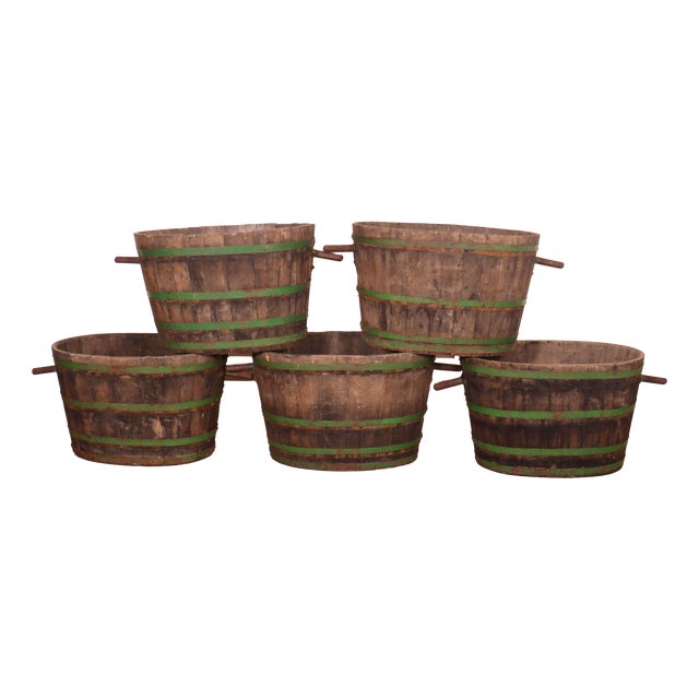 French Grape Picking Tubs, 1920s, Set of 5 For Sale