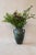Mediterranean Antique Mediterranean Handled Clay Vase For Sale - Image 3 of 3