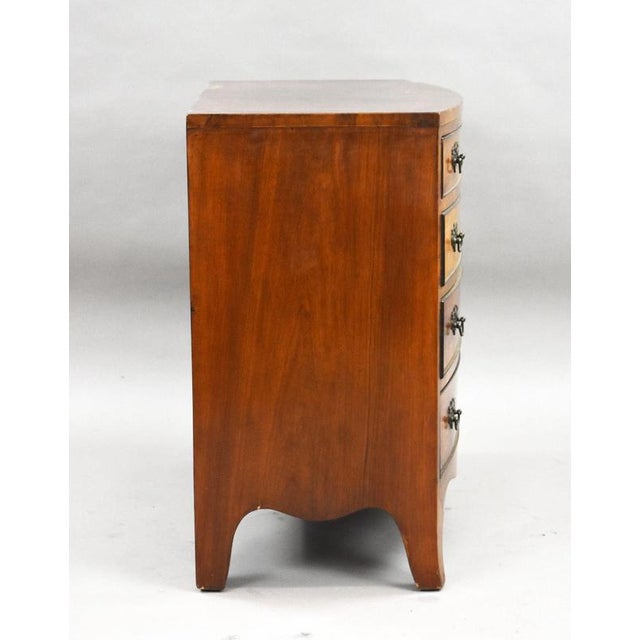 1930s Early 20th Century Figured Walnut Bow Front Chest of Drawers, 1930 For Sale - Image 5 of 8