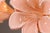 Metal Murano Pink Lilly Floorlamp Murano Glass and Gilt Brass by Franco Luce, 1970 For Sale - Image 7 of 13