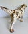 1930s Hubley Attributed Cast Iron English Setter Dog Doorstop For Sale In Los Angeles - Image 6 of 12