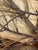 Curtis Jere Nature Series Pine Tree Branch Wall Art Hanger Wrought Iron C. Jere For Sale - Image 10 of 11