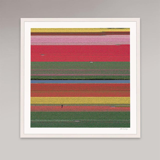 Contemporary AV_Tulip_Fields_036" Contemporary Aerial View Limited Edition Photograph by Bernhard Lang For Sale - Image 3 of 12
